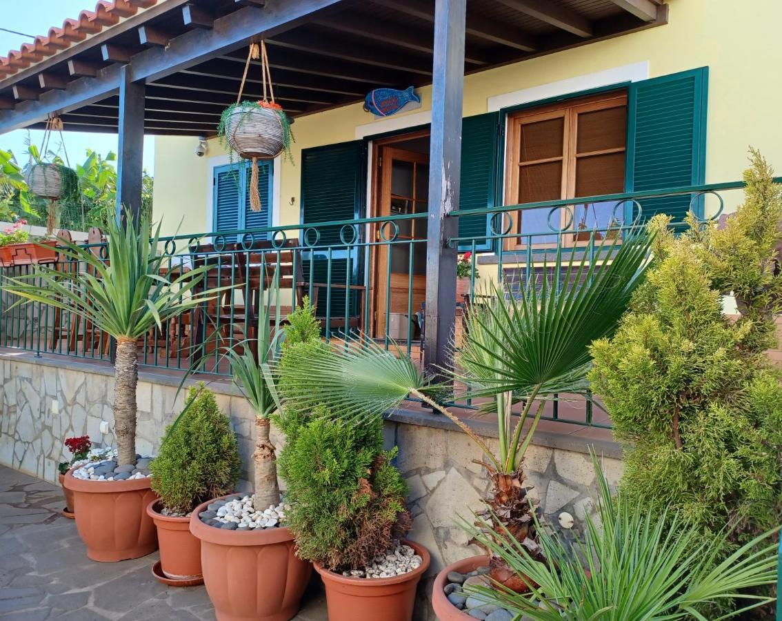Villa House Near Cr7 Museum Funchal  Esterno foto