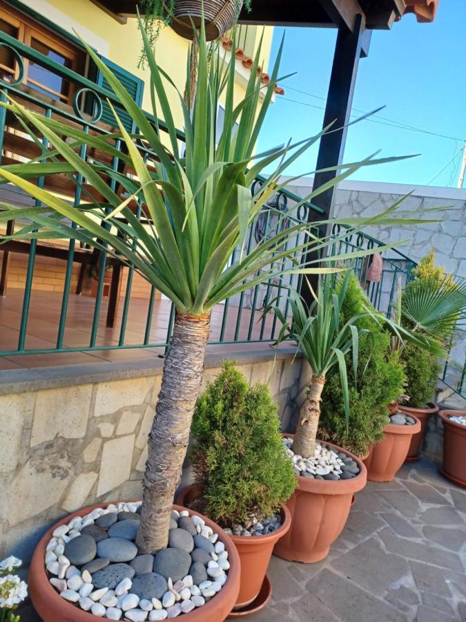 Villa House Near Cr7 Museum Funchal  Esterno foto